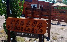 Cabañas Angualasto
